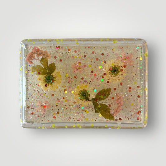 Miss Sunshine, Rectangle